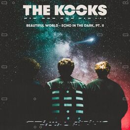 Album picture of Beautiful World - Echo in the Dark, Pt. II