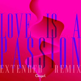 Album cover of Love Is A Passion (Extended Remix)