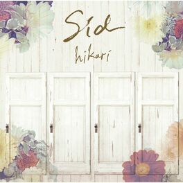 Album cover of hikari