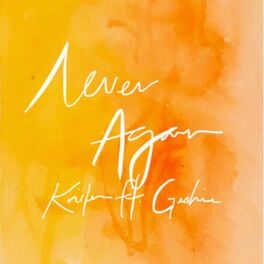 Album cover of Never Again (feat. Geshie)