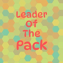 Album cover of Leader of the Pack