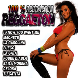 Album picture of 100 % Reggaeton