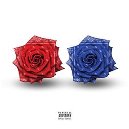 Album cover of The Documentary 2 + 2.5 (Collector's Edition)