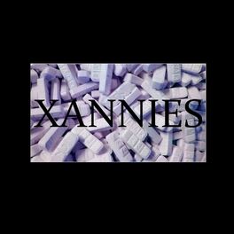Album cover of Xannies