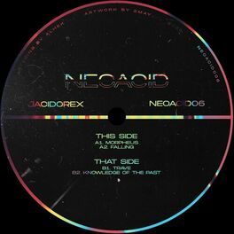 Album cover of Neoacid 06