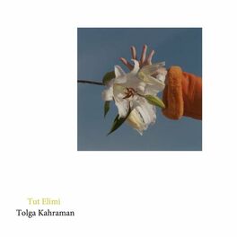 Album cover of Tut Elimi