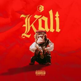 Album cover of Kali