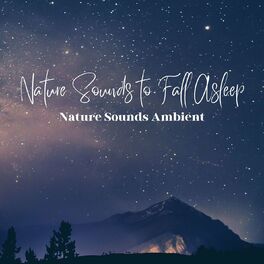 Album cover of Nature Sounds to Fall Asleep: Nature Sounds Ambient Music for Sleeping
