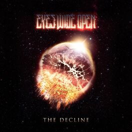 Album cover of The Decline