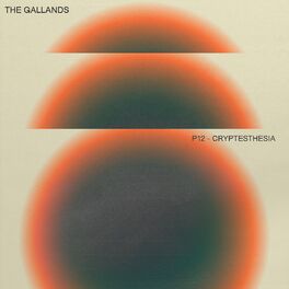 Album cover of P12- Cryptesthesia