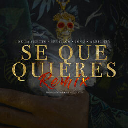 Album cover of Sé Que Quieres (feat. Brytiago, Jon Z & Almighty) (Remix)