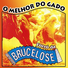 Album cover of O Melhor do Gado