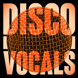 Album cover of Disco Vocals: Soulful Dancefloor Cuts Featuring 23 Of The Best Grooves