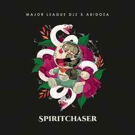 Album cover of Spiritchaser