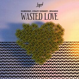 Album cover of Wasted Love