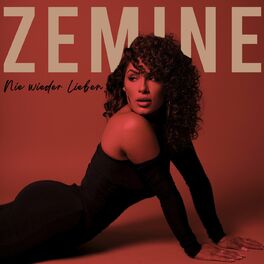 Album cover of Nie wieder lieben
