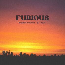 Album cover of Furious