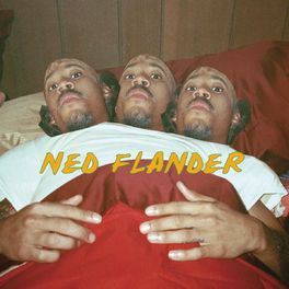 Album cover of NY (Ned Flander) (feat. Hodgy & Tyler, The Creator)
