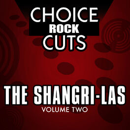 Album cover of Choice Rock Cuts, Vol. 2