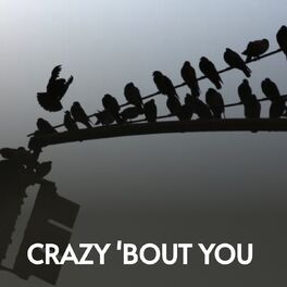 Album cover of Crazy 'Bout You