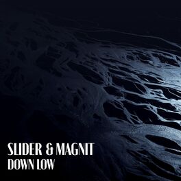 Album cover of Down Low