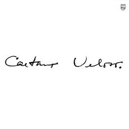 Album cover of Caetano Veloso - 1969