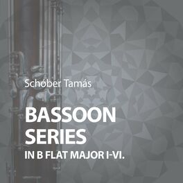Album cover of Bassoon Series in B-Flat Major I-VI.