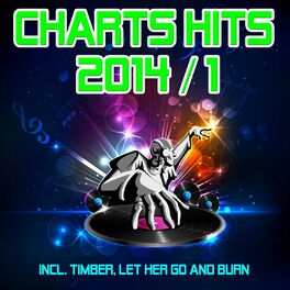 Album cover of Charts Hits 2014 / 1 (Incl. Timber, Let Her Go and Burn)