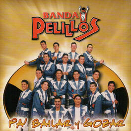 Album cover of Pa Bailar y Gozar