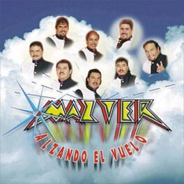 Album cover of Alzando el Vuelo