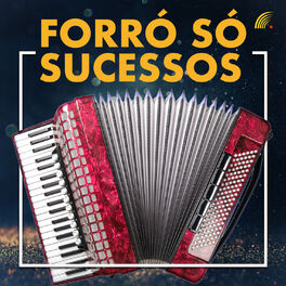 Album cover of Forró Só Sucessos