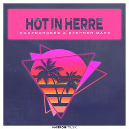 Album cover of Hot In Herre