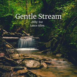 Album cover of Gentle Stream