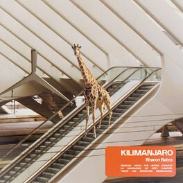 Album cover of Kilimanjaro