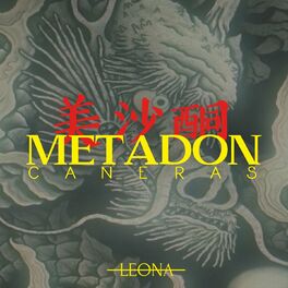 Album cover of Metadon