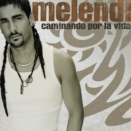 Album cover of Caminando Por La Vida (USA Release)