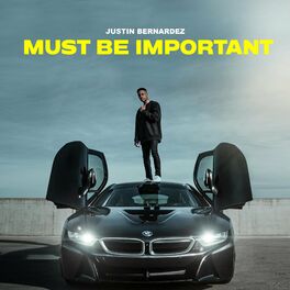 Album cover of Must Be Important