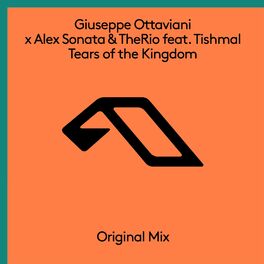Album cover of Tears Of The Kingdom