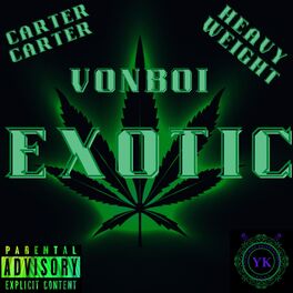 Album cover of Exotic