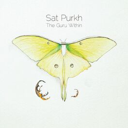 Album cover of The Guru Within