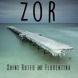 Album cover of Zor