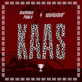 Album cover of Kaas - Freestyle