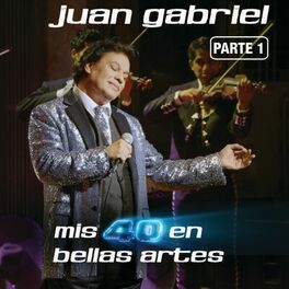 Album cover of Mis 40 En Bellas Artes (En Vivo Desde Bellas Artes, México/ 2013/ Parte 1)