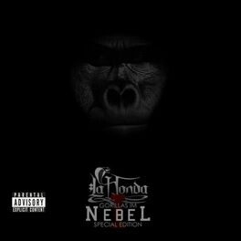 Album cover of Gorillas im Nebel