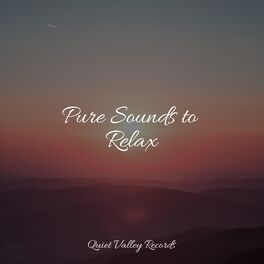 Album cover of Pure Sounds to Relax