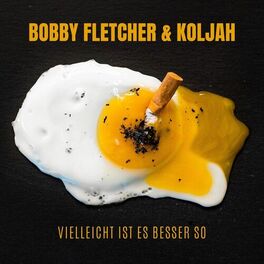 Album cover of Vielleicht ist es besser so