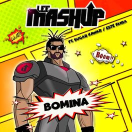 Album cover of Bomina