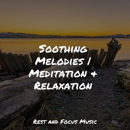Album cover of Soothing Melodies | Meditation & Relaxation