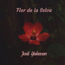 Album cover of Flor de La Selva