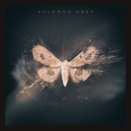 Album cover of Solomon Grey